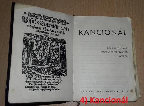 Obrázek vložený uživatelem