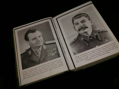 Obrázek vložený uživatelem