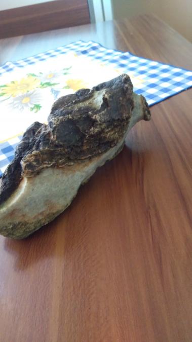 Obrázek vložený uživatelem