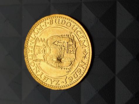 Obrázek vložený uživatelem