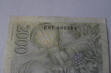 Obrázek vložený uživatelem