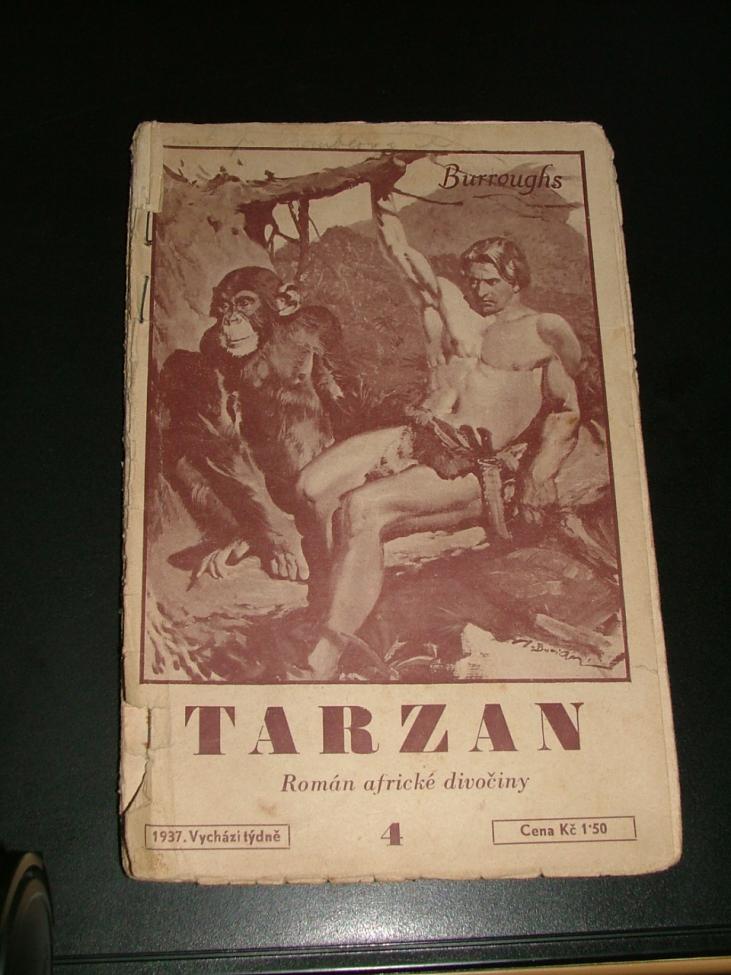 Obrázek vložený uživatelem