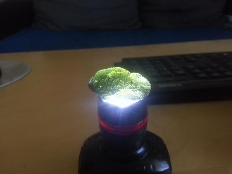 Obrázek vložený uživatelem