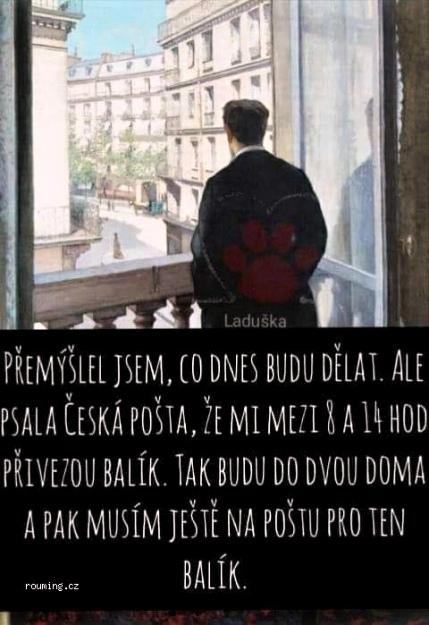 Obrázek vložený uživatelem