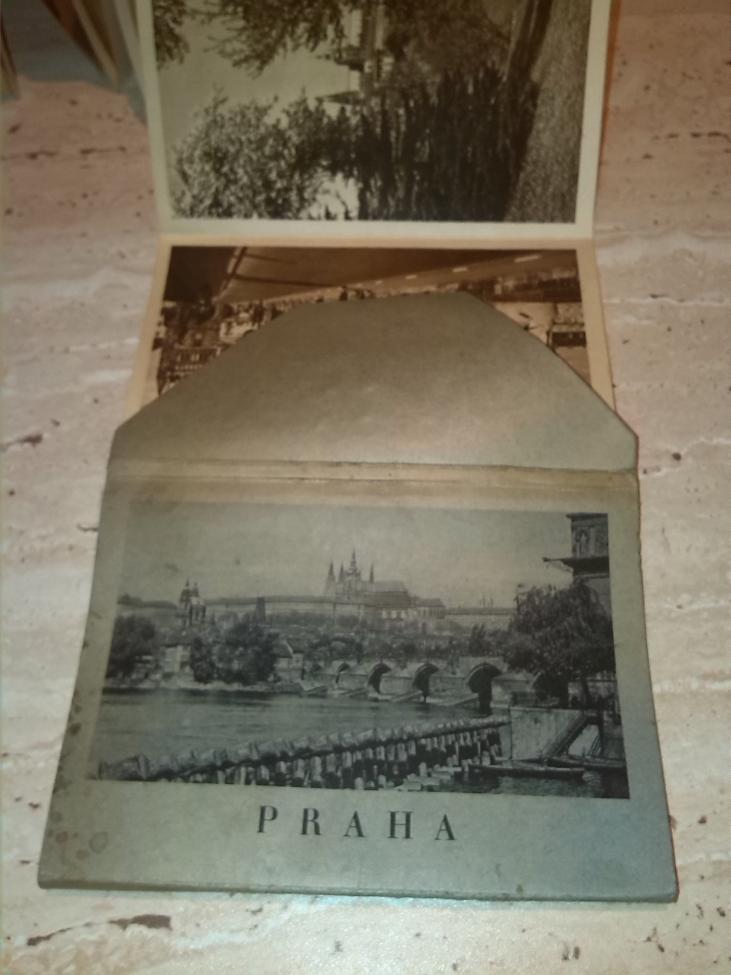 Obrázek vložený uživatelem