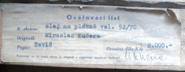 Obrázek vložený uživatelem
