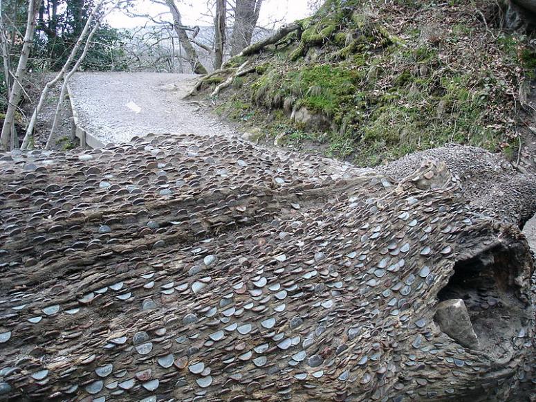 Obrázek vložený uživatelem