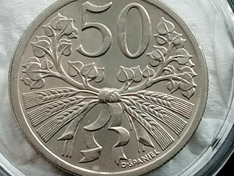 Obrázek vložený uživatelem