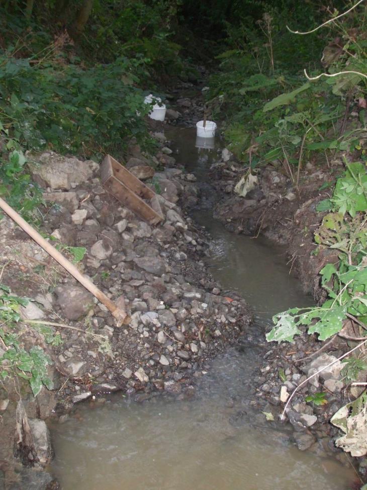 Obrázek vložený uživatelem