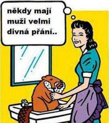 Obrázek vložený uživatelem