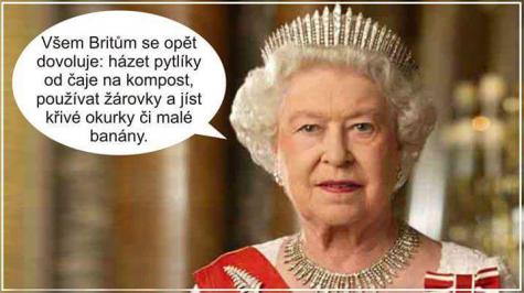 Obrázek vložený uživatelem