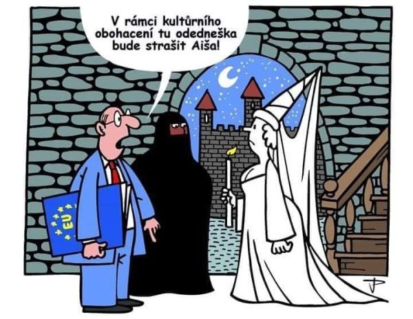 Obrázek vložený uživatelem