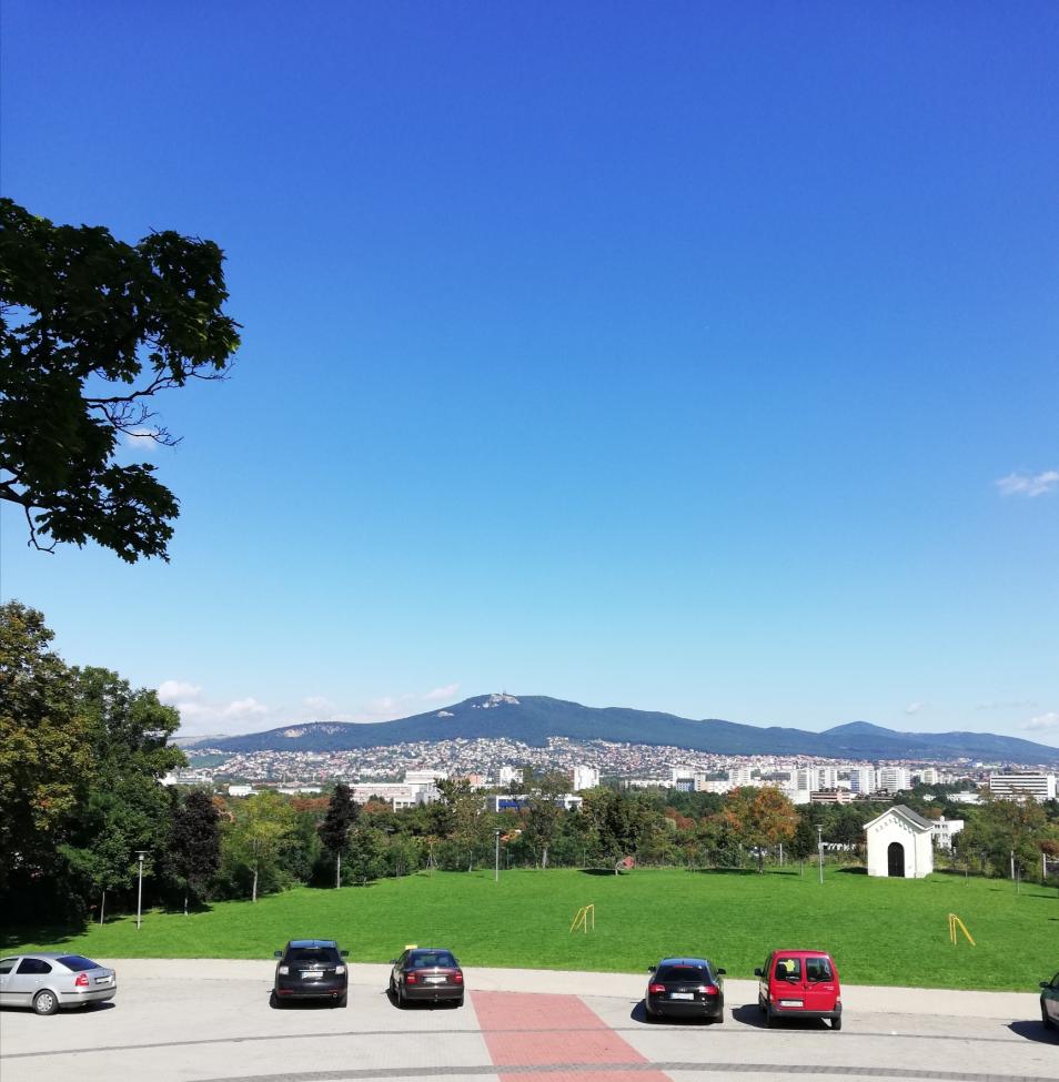 Obrázek vložený uživatelem