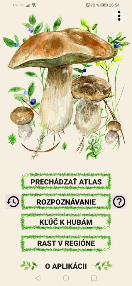 Obrázek vložený uživatelem