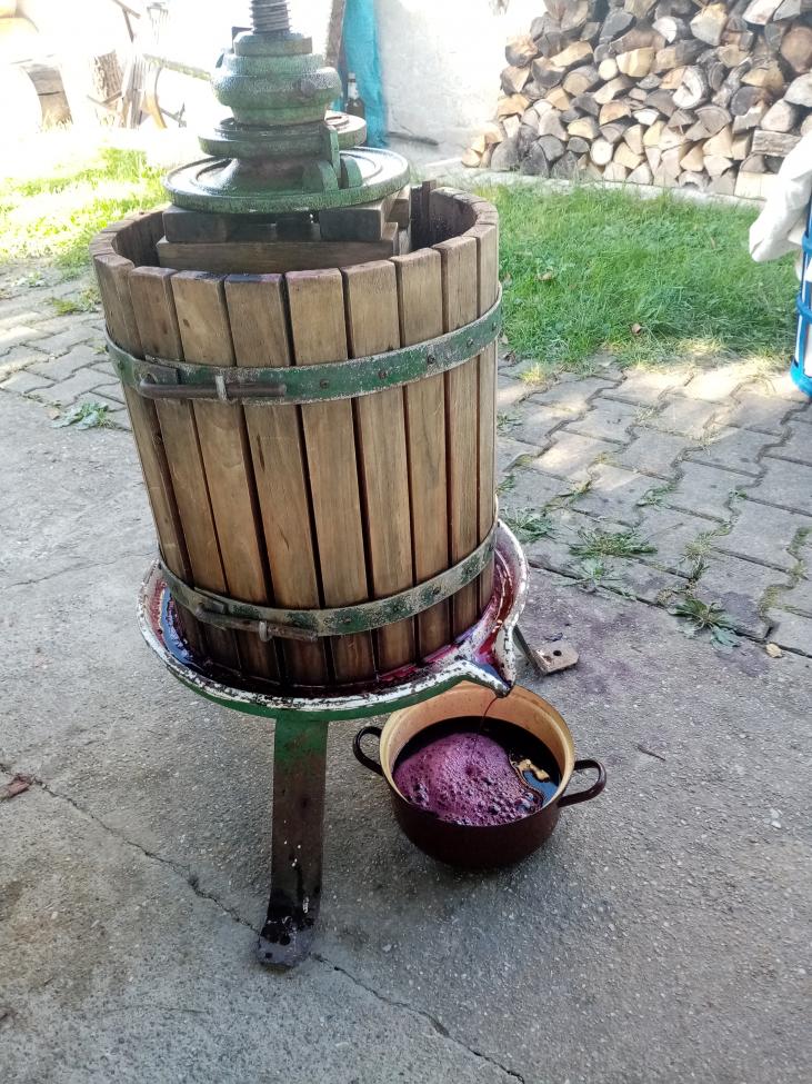 Obrázek vložený uživatelem