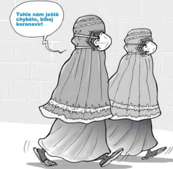 Obrázek vložený uživatelem