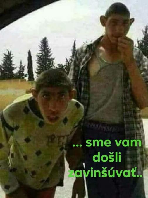 Obrázek vložený uživatelem