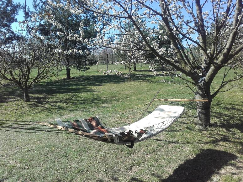 Obrázek vložený uživatelem