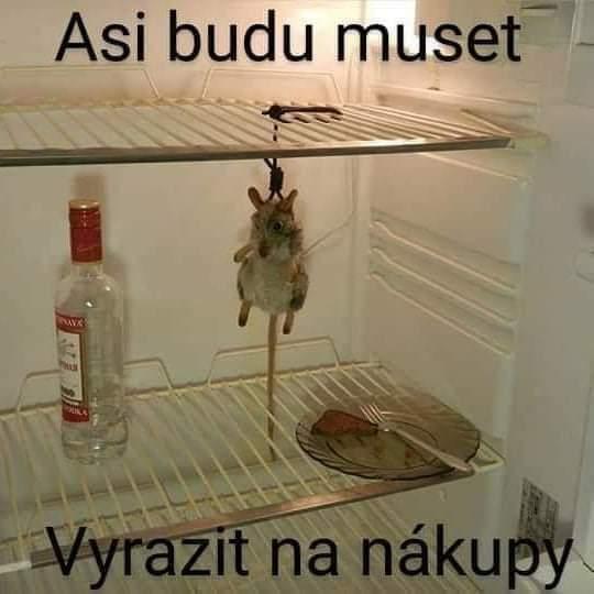 Obrázek vložený uživatelem