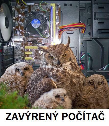 Obrázek vložený uživatelem