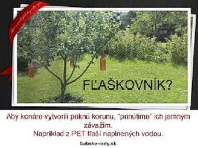Obrázek vložený uživatelem