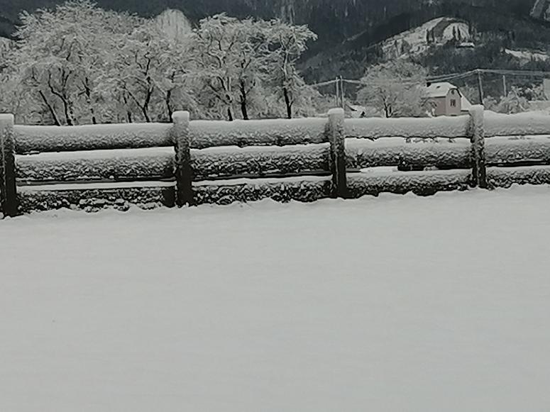 Obrázek vložený uživatelem