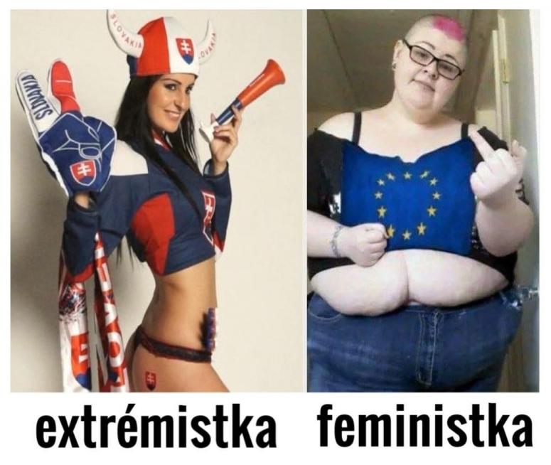 Obrázek vložený uživatelem