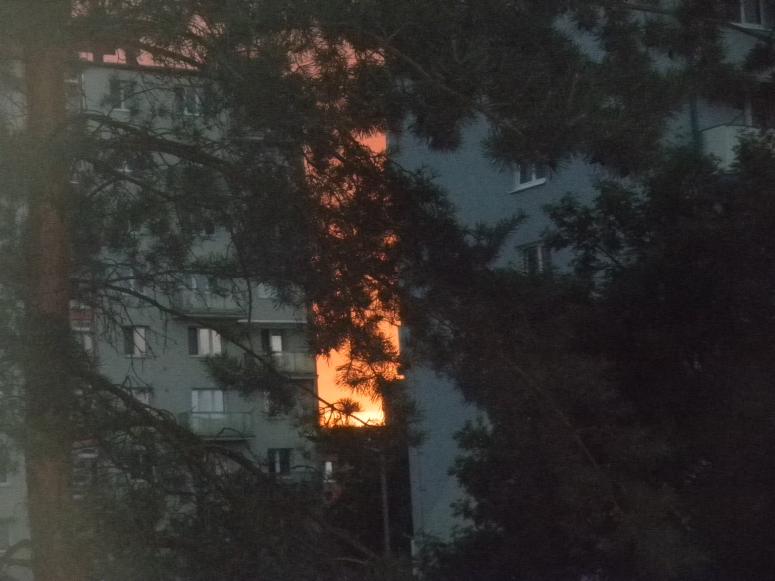 Obrázek vložený uživatelem