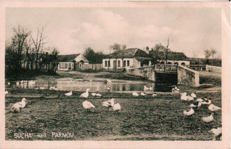 Obrázek vložený uživatelem