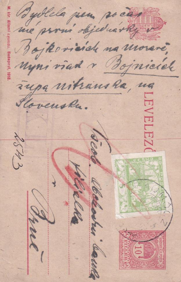 Obrázek vložený uživatelem