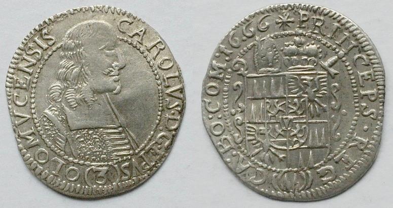 Obrázek vložený uživatelem