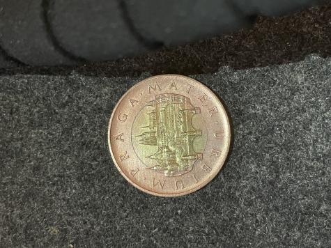 Obrázek vložený uživatelem