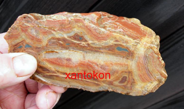 Obrázek vložený uživatelem