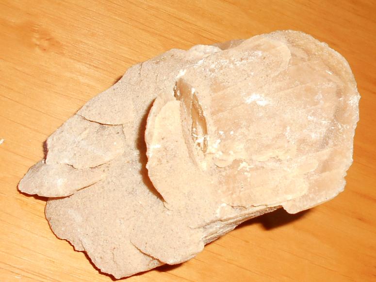 Obrázek vložený uživatelem