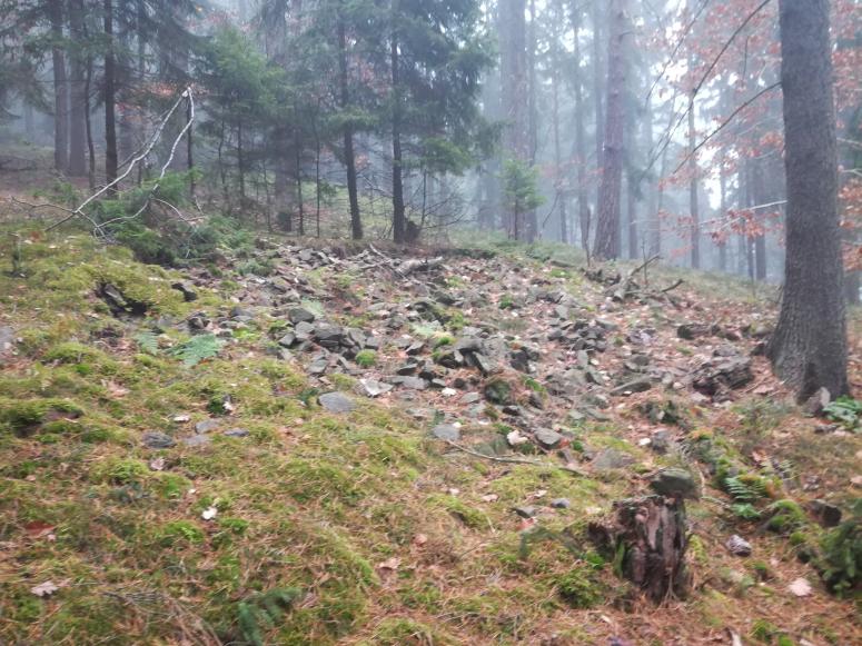 Obrázek vložený uživatelem