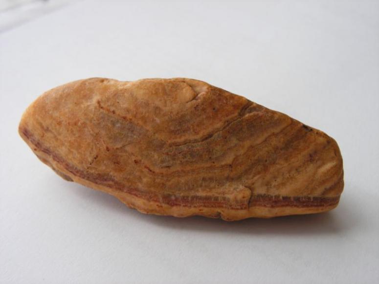 Obrázek vložený uživatelem