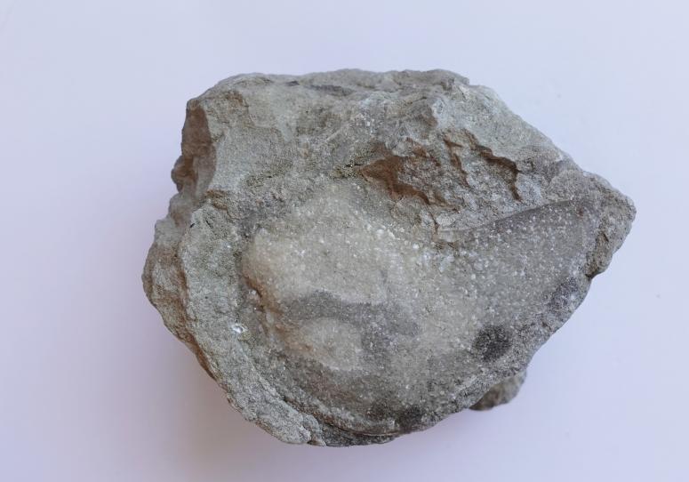 Obrázek vložený uživatelem