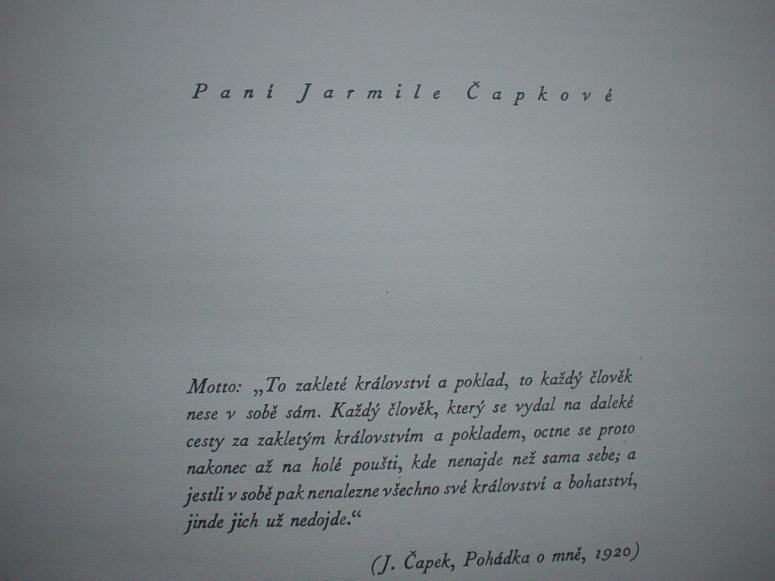 Obrázek vložený uživatelem