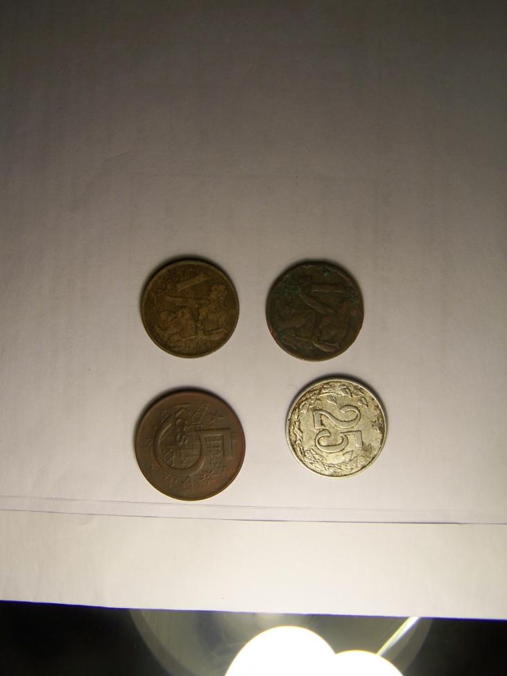 Obrázek vložený uživatelem