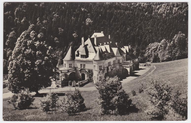Obrázek vložený uživatelem