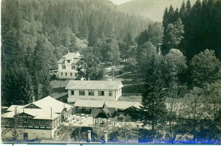 Obrázek vložený uživatelem