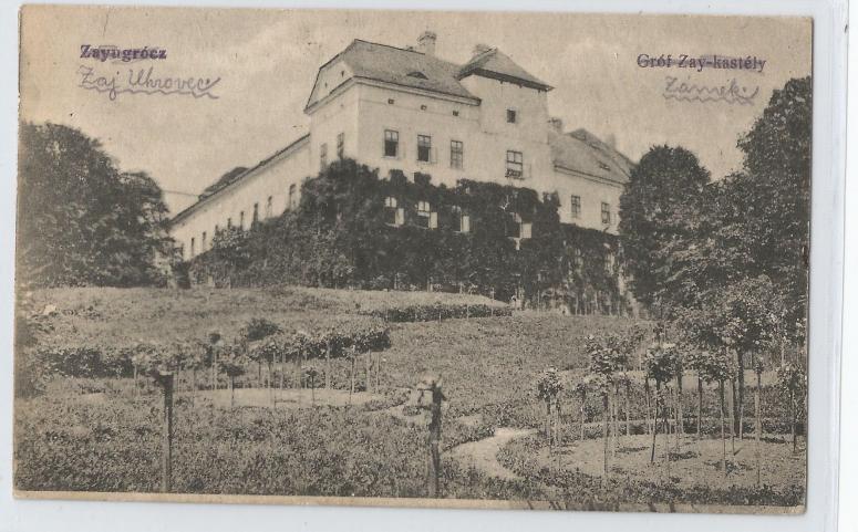 Obrázek vložený uživatelem