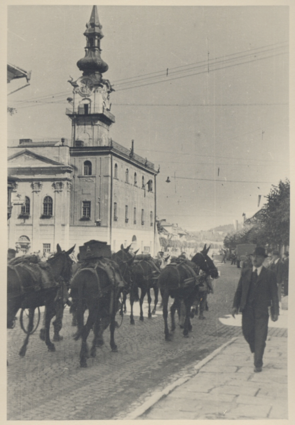 Obrázek vložený uživatelem