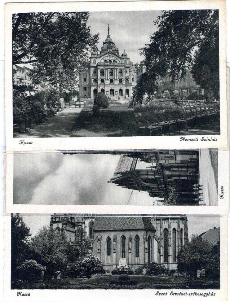 Obrázek vložený uživatelem
