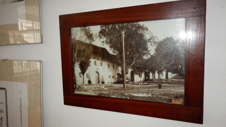 Obrázek vložený uživatelem