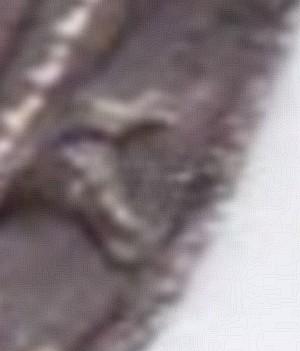Obrázek vložený uživatelem