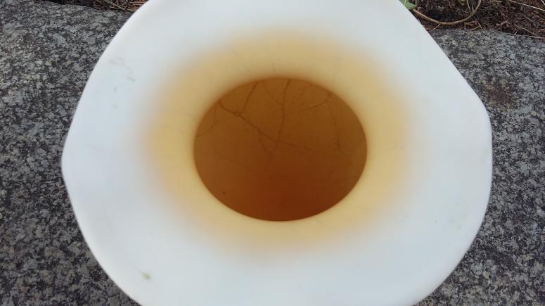 Obrázek vložený uživatelem