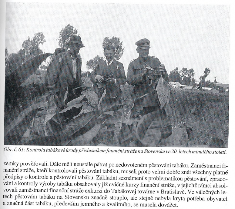 Obrázek vložený uživatelem