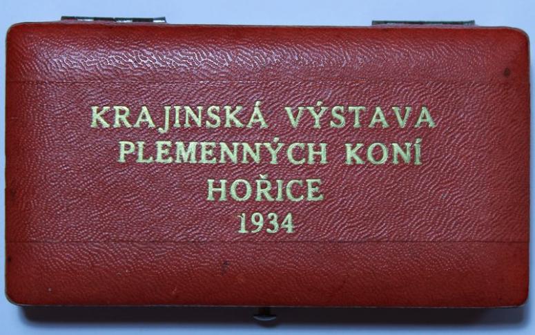Obrázek vložený uživatelem