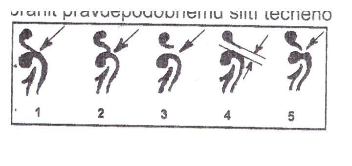 Obrázek vložený uživatelem